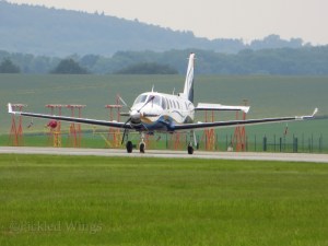 Ibis at Čáslav, Czech Republic in 2013.