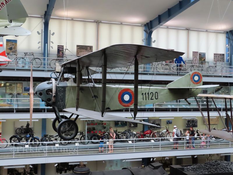 Anatra Anasal, left side, NTM 2023