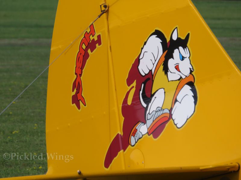 Husky tailart Breclav